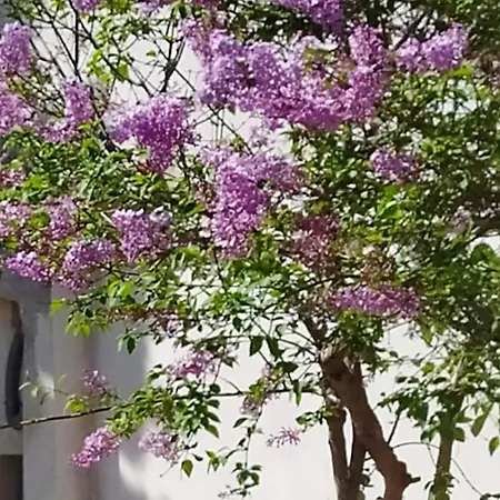 View διαμερισμα * Loukissia