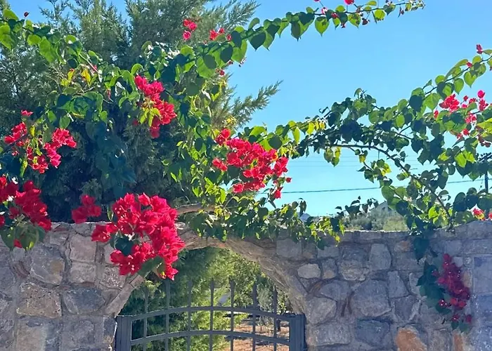 Casa de Férias View δύο υπνοδωματιων